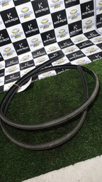 Borracha Pingadeira Lado Direito Picasso 2004