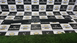 CALHA DE VIDRO TRASEIRA DIREITA SANDERO 2010