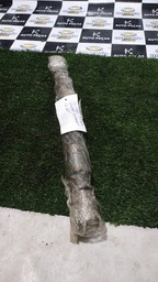 COMANDO ESCAPE PEUGEOT CITROEN 1.6 16 VÁLVULAS