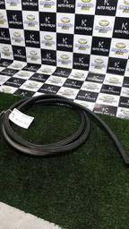 Borracha Pingadeira Lado Esquerdo Picasso 2004