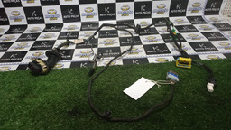 Chicote Porta Dianteira Esquerda C4 Pallas 2012