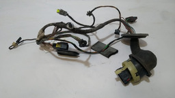 Chicote Porta Dianteira Esquerda Peugeot 207 2009