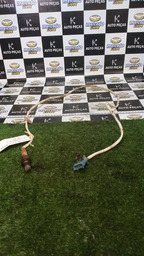 Sonda Lambda C4 Pallas 2.0