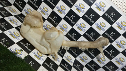 RESERVATÓRIO DE ÁGUA DE PARA-BRISA PICASSO 2004