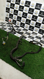 CHICOTE CABO POSITOVO BATERIA CITROEN C4 PALLAS 2012