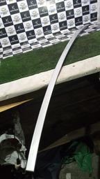 FRISO DO TETO LADO ESQUERDO C4 PALLAS 2010