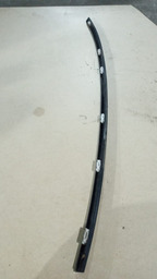 FRISO DO TETO C4 PALLAS 2012 LADO ESQUERDO