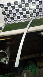 FRISO DO TETO LADO DIREITO C4 PALLAS 2010