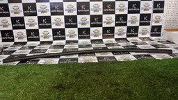 Borracha De Porta Traseira Direita C4 Pallas 2012