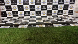 BORRACHA DE PORTA TRASEIRA DIREITA C4 PALLAS 2012