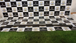 BORRACHA DE PORTA TRASEIRA DIREITA C4 PALLAS 2012