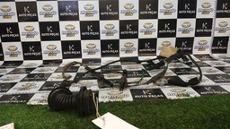 CHICOTE DE PORTA C4 PALLAS TRASEIRA ESQUERDA 2012