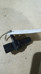 Sensor Motor Fluence 2015