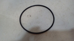 Anel Vedação Porca Rosca Tanque Renault Megane 2003/2005