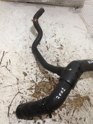 MANGUEIRA AGUA COM FILHOTE RENAULT SCENIC