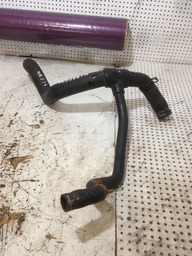 MANGUEIRA AGUA COM FILHOTE RENAULT SCENIC