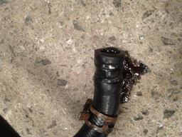 MANGUEIRA AGUA COM FILHOTE RENAULT SCENIC