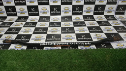 Barra Estabilizadora C4 Cactus 2020