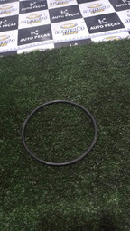 VEDAÇÃO DO DA BOMBA DE COMBUSTÍVEL PICASSO 2005