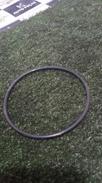 VEDAÇÃO DO DA BOMBA DE COMBUSTÍVEL PICASSO 2005