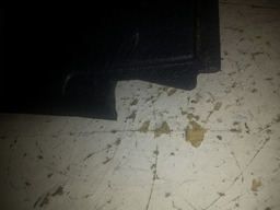 CAPA CHAVE SETA INFERIOR PEUGEOT PARTNER 2019