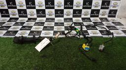 Chicote Porta Dianteira Direita C4 Pallas 2012