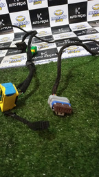 CHICOTE PORTA DIANTEIRA DIREITA C4 PALLAS 2012