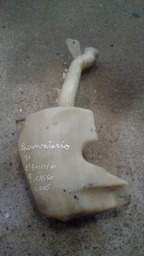 Reservatorio Esguicho Para Brisa S/ Tampa Xsara Picasso 1.6