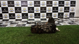 Fechadura Trava Elétrica Dianteira Direita C4 Pallas 2012