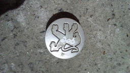 CALOTA CENTRO RODA PEUGEOT 206