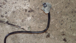 MANGUEIRA COMBUSTÍVEL RENAULT CLIO 2016 