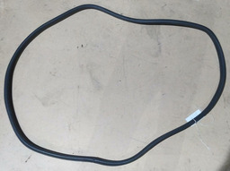 Borracha Porta Traseira Direita 307 2005