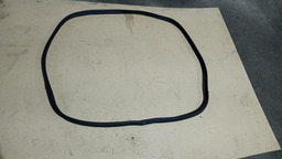 Borracha Porta-mala C4 Cactus 2020