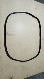 BORRACHA PORTA-MALA C4 CACTUS 2020