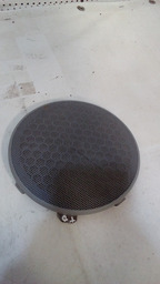 TELA DO ALTO FALANTE TRASEIRO DIREITO XSARA PICASSO 