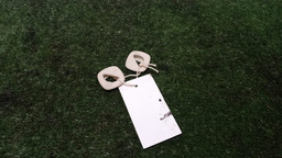 PRENDEDOR TETO C4 PALLAS 2012