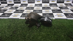 Polia Esticador Picasso 2012