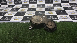 POLIA ESTICADOR PICASSO 2012