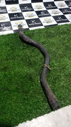 MANGUEIRA DE ÁGUA PEUGEOT 206