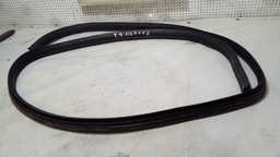 Borracha Porta Traseira Direita Renault Megane 03/05