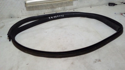 BORRACHA PORTA TRASEIRA DIREITA RENAULT MEGANE 03/05