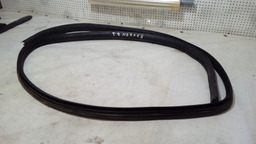 BORRACHA PORTA TRASEIRA DIREITA RENAULT MEGANE 03/05