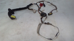 CHICOTE DE PORTA DIANTEIRA DIREITA RENAULT MEGANE 03/05