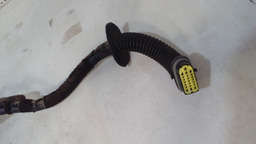 CHICOTE DE PORTA DIANTEIRA ESQUERDA RENAULT MEGANE 03/05