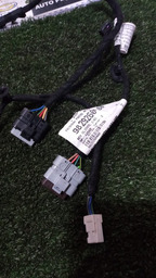 CHICOTE DA PORTA TRASEIRA DIREITA C4 CACTUS 2020