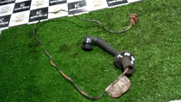 CHICOTE DA PORTA TRASEIRA DIREITA PEUGEOT 206