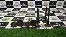 VÁLVULA ADMISSÃO ESCAPE CABEÇOTE PEUGEOT 1.8 8 V UNITARIO 