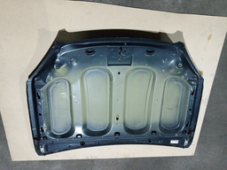 CAPO DIANTEIRO CITROEN C5 2005