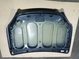 CAPO DIANTEIRO CITROEN C5 2005