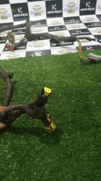 CABO TERMINAL BATERIA POSITIVO C4 PALLAS 2012 AUTOMÁTICO 2.0